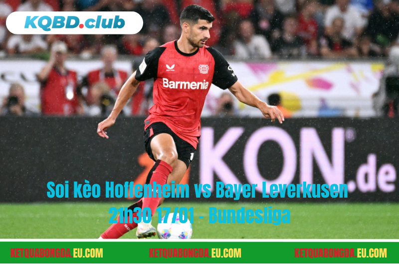 Đội hình dự kiến trước trận Hoffenheim vs Bayer Leverkusen Đội hình dự kiến trước trận Hoffenheim vs Bayer Leverkusen